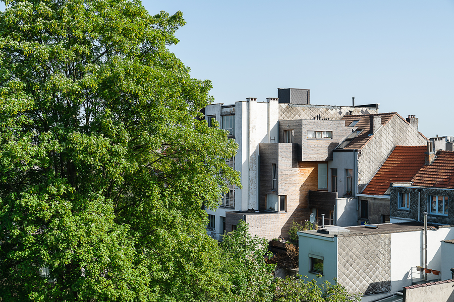 Zicht op huizen en esdoornkruin Zicht op huizen en esdoornkruin